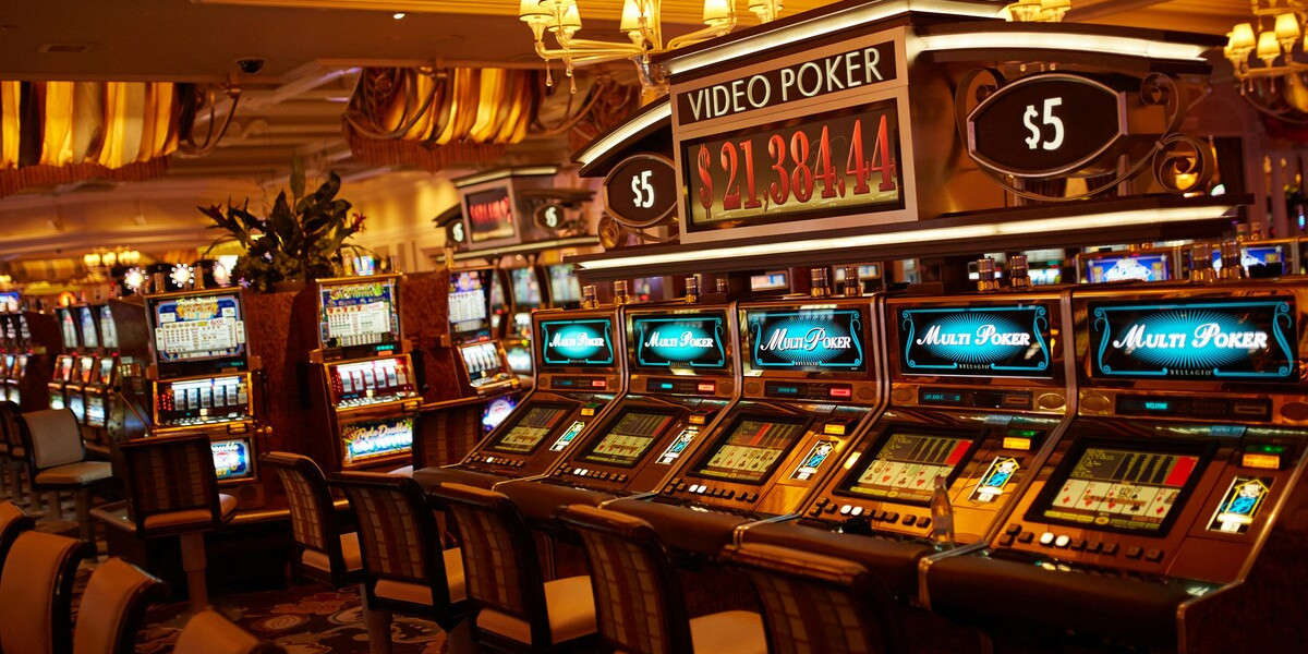 Discover Evolution Casino: Join the Scam Verification Community Inavegas