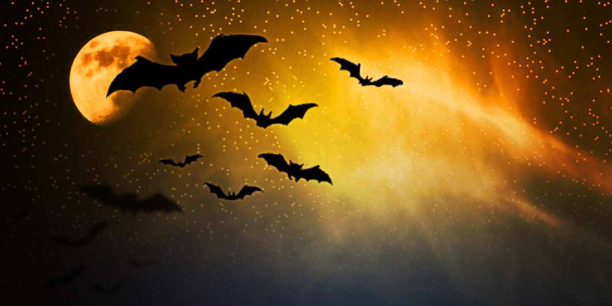 Understanding Gold IRA Transfers: A Comprehensive Information