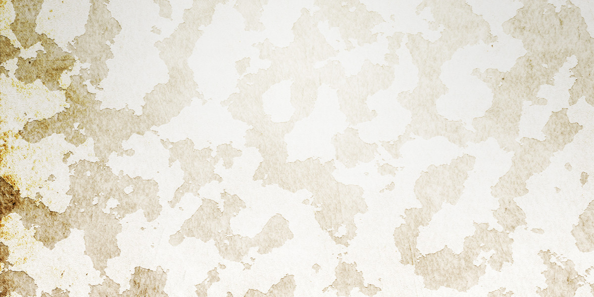 Luxury Private Jets Charter Companies: An In-Depth Study