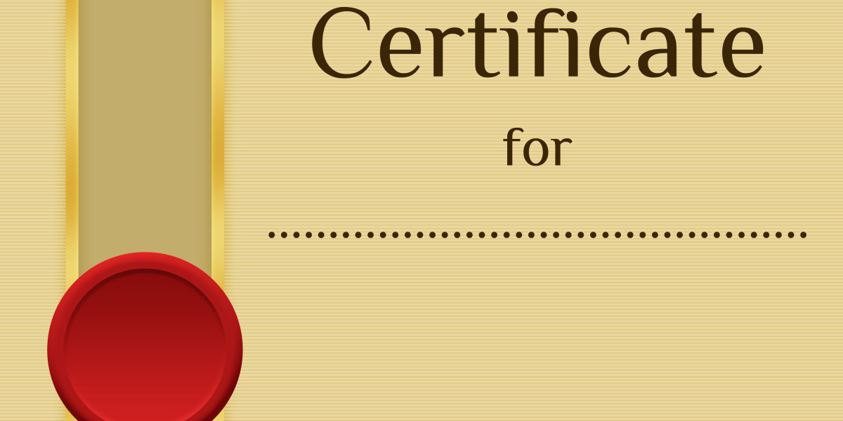 The Rise of Sugar Daddy Websites in The USA: A Complete Evaluation