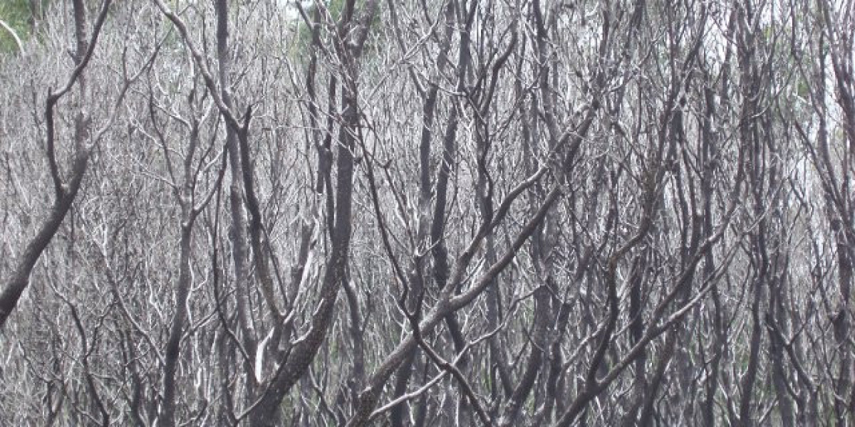 Fair Go Casino Casino Login for Canada: Secure Access, Fast Payouts